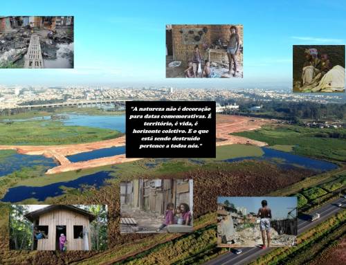 O SILÊNCIO IMPACTA O MEIO AMBIENTE