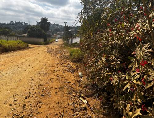 SANEAMENTO PELA METADE, PROBLEMA INTEIRO